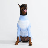 Hunde Pyjama - Blaue Streifen