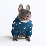 Hunde Pyjama - Sterne