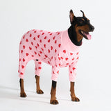 Hunde Pyjama - Rosa Herzen