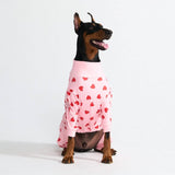 Hunde Pyjama - Rosa Herzen