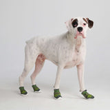 Green Shoes