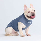 Sunblock Hunde-T-Shirt - Marineblau
