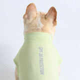 Sunblock Hunde-T-Shirt - Hellgrün