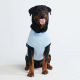Sunblock Hunde-T-Shirt – Blau