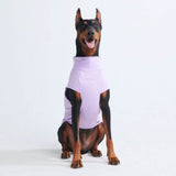 Sunblock Hunde-T-Shirt – Lila