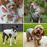 Popsicles Watermelon||size:S,M,L,XL,2XL,3XL,4XL,5XL