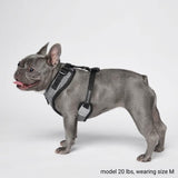 Superweiches Activewear Hundegeschirr - Grau