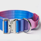 Taktisches Hundehalsband - und Leinen-Set - Rosa-Blau