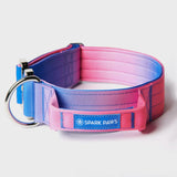 Taktisches Hundehalsband - und Leinen-Set - Rosa-Blau