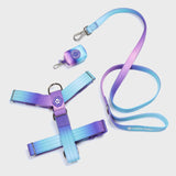 Komfort-Kontrolle No-Pull Hundegeschirr set - 90s Retro