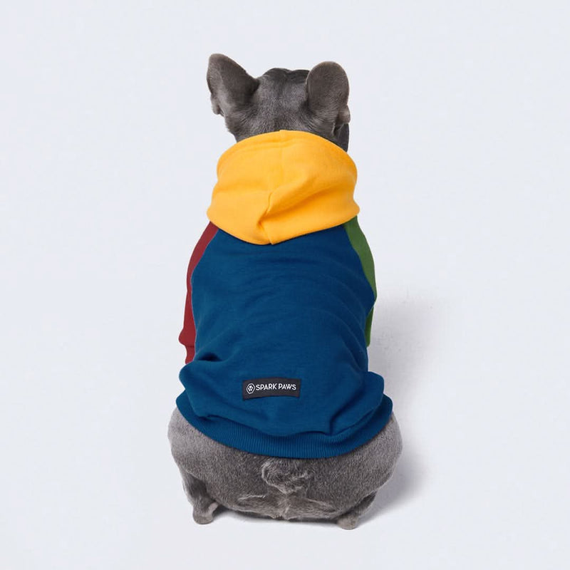 Buntstift Farbe Block Hund Hoodie
