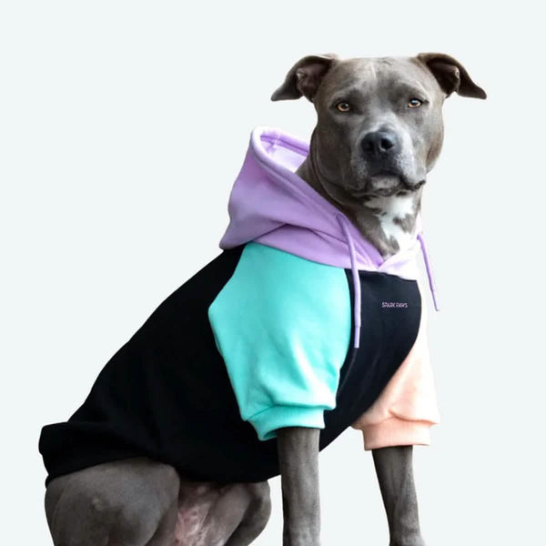 Cyber Punk Hunde Hoodie