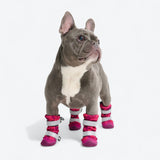 Flex Shell Wasserabweisende Hundestiefel - Fuchsia Camo