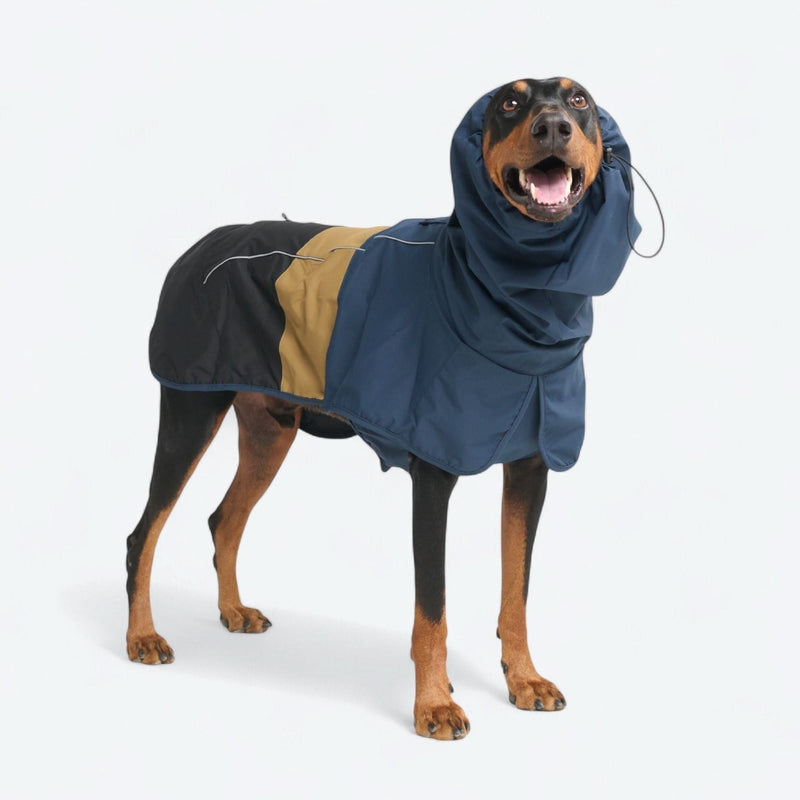 Breatheshield™ Hunderegenmantel - Blau Gold Schwarz