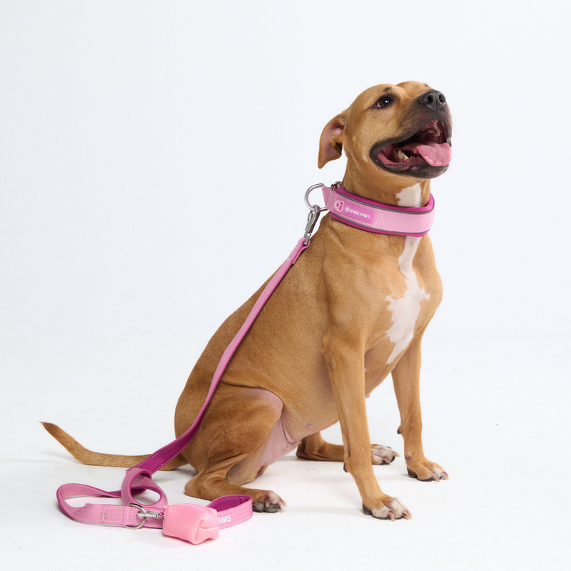 Pink Martingale Collar||size:C,D,E