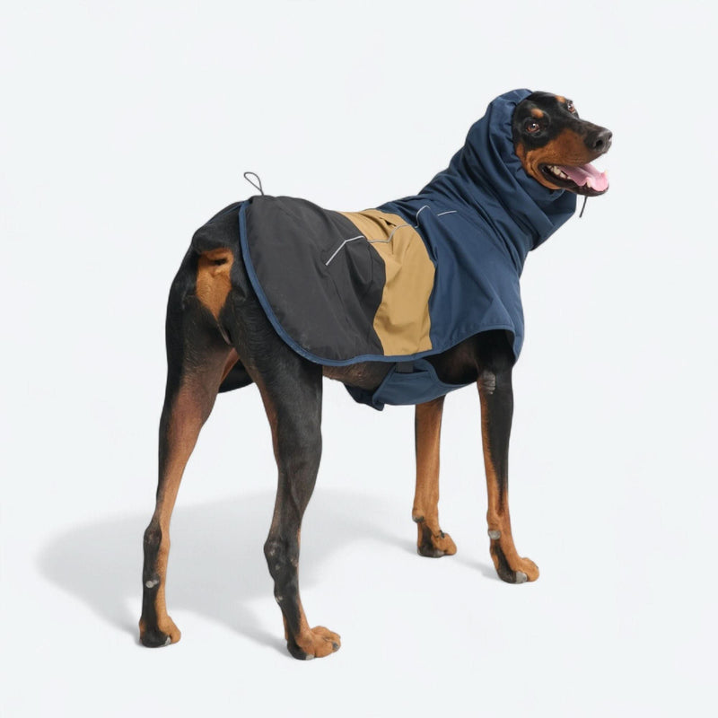 Breatheshield™ Hunderegenmantel - Blau Gold Schwarz