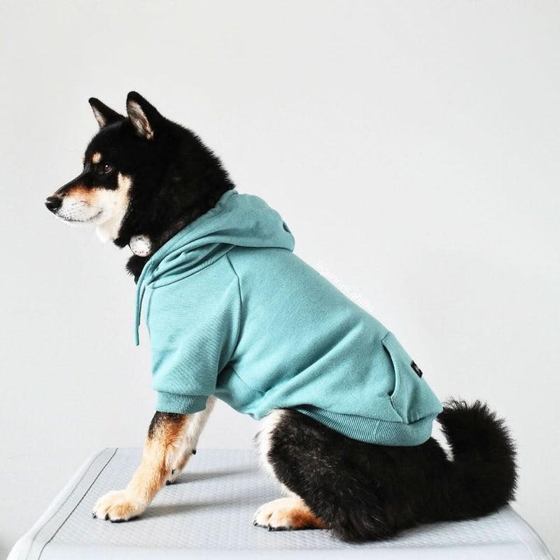 Essentielles Hunde Hoodie - Türkis