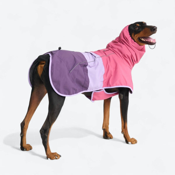 Dog Raincoat - Pink Lilac Purple
