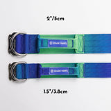 Taktisches Hundehalsband - und Leinen-Set - Limewelle