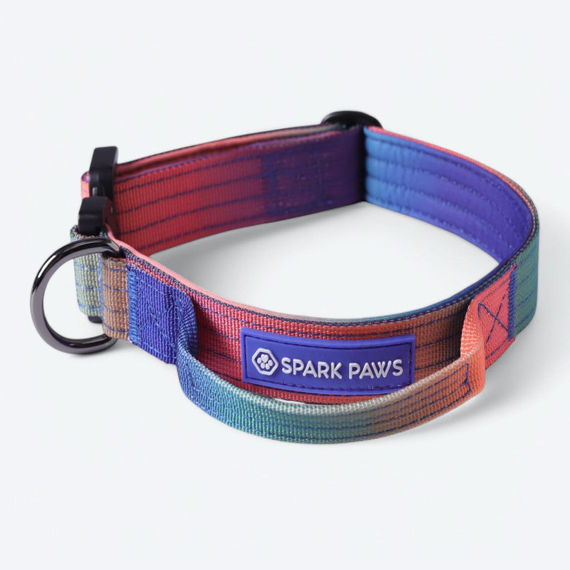 Taktisches Halsband für große Hunde - Kaleidoskop
