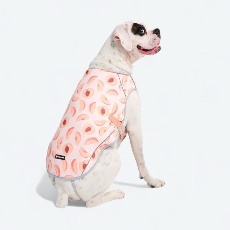 Hundekühlweste - Pfirsiche