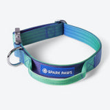 Taktisches Hundehalsband - und Leinen-Set - Limewelle
