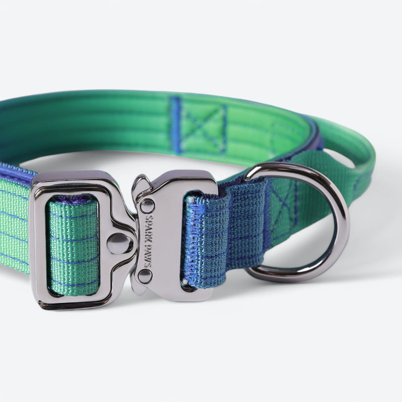 Taktisches Hundehalsband - und Leinen-Set - Limewelle