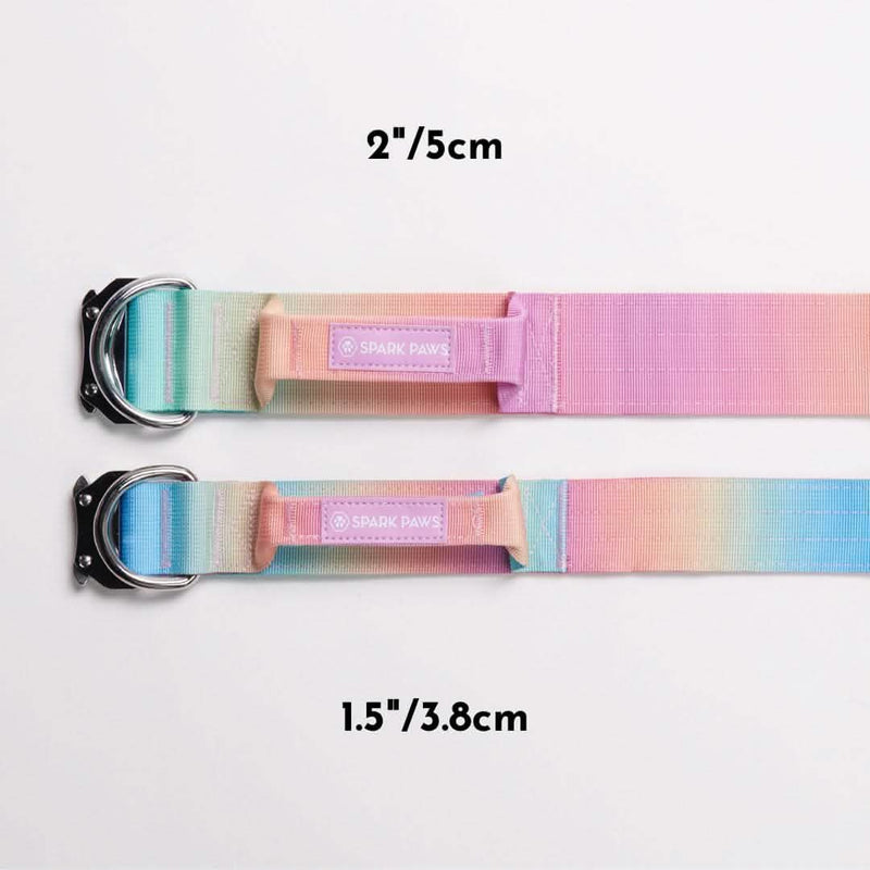 Taktisches Hundehalsband - und Leinen-Set - Pastellglasur
