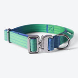 Taktisches Hundehalsband - und Leinen-Set - Limewelle