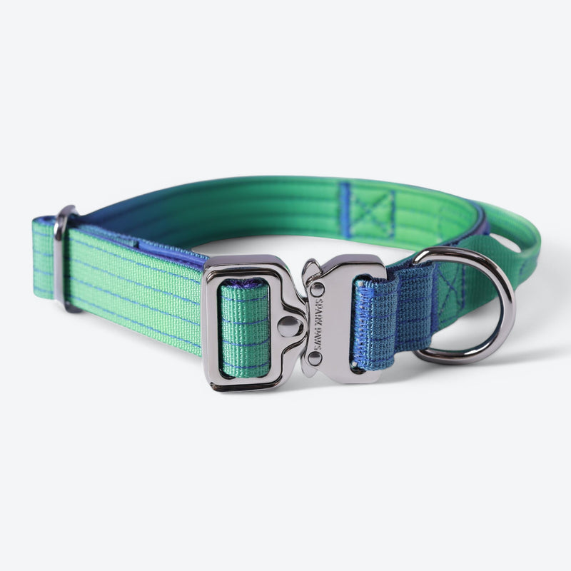 Taktisches Hundehalsband - und Leinen-Set - Limewelle