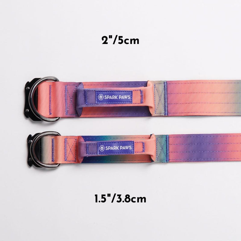 Taktisches Hundehalsband - und Leinen-Set - Kaleidoskop