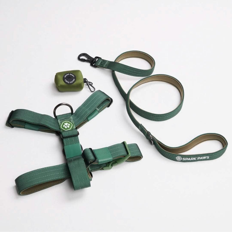 Komfort-Kontrolle No-Pull Hundegeschirr set - Grün