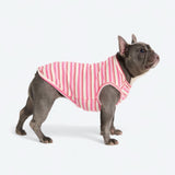 Pink Red Stripe Shirt