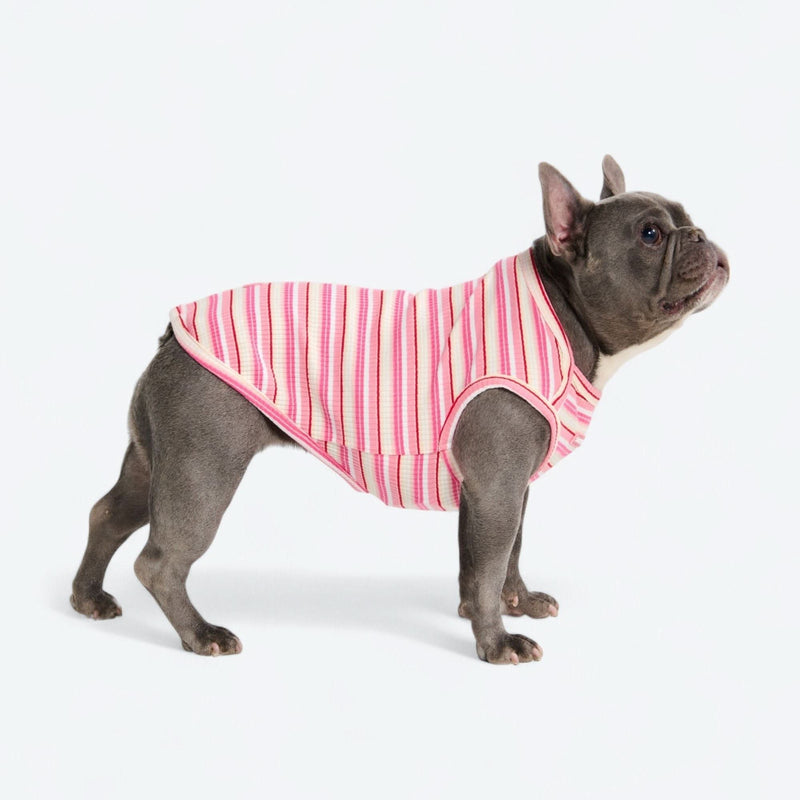 Gestreiftes Shirt - Rosa Rot