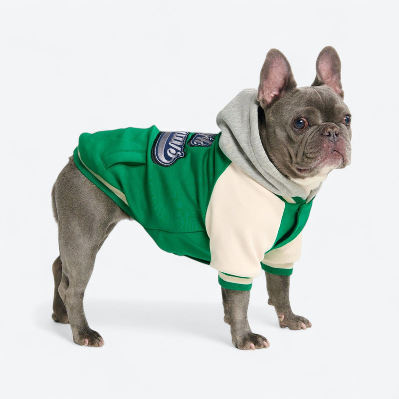 Hund-Collegejacke - Grün