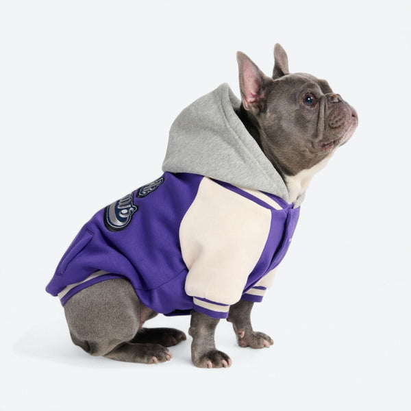 Hund-Collegejacke - Lila