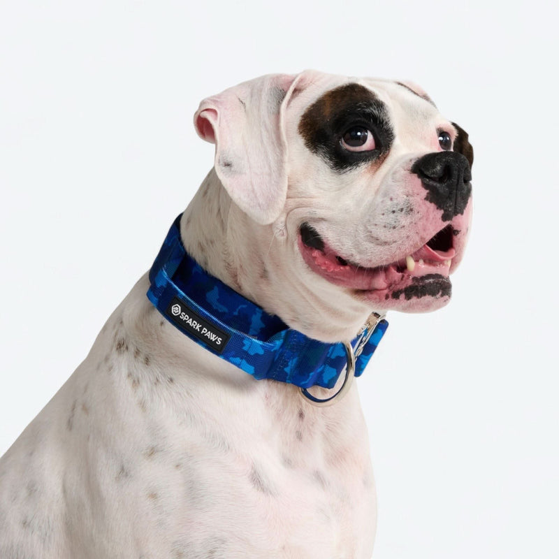 Komfort-Kontrollhalsband-Set - Blau Camo