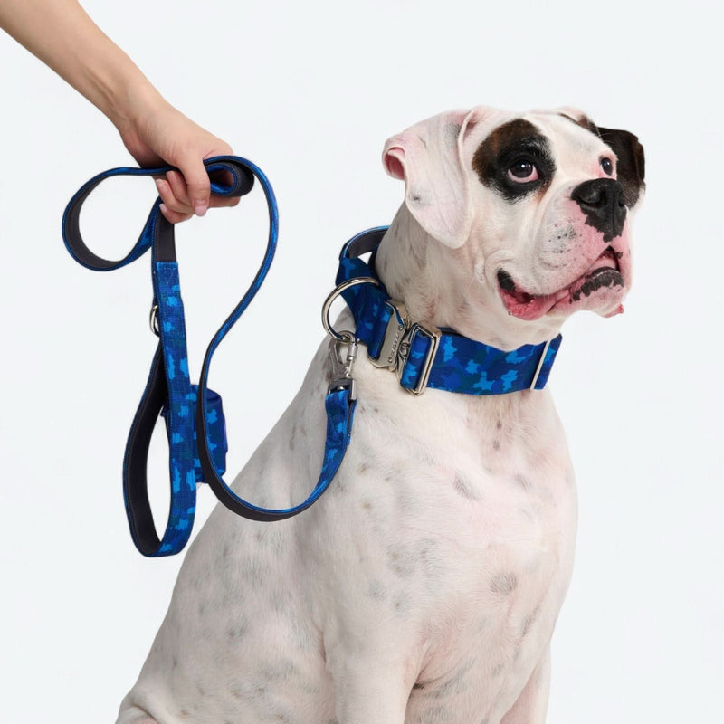 Komfort-Kontrollhalsband-Set - Blau Camo