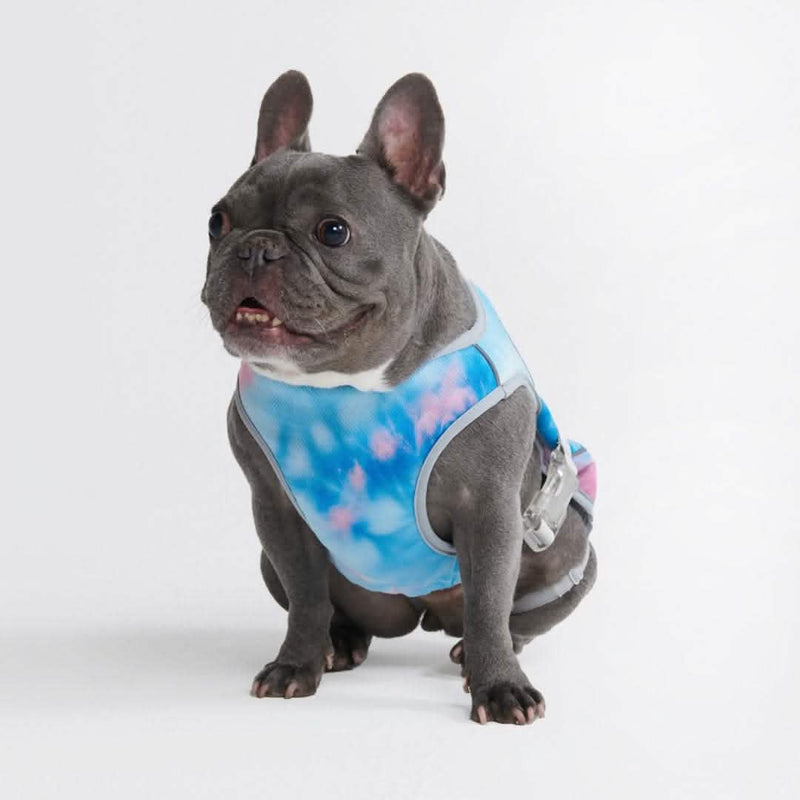 Hundekühlweste - Snow Cone