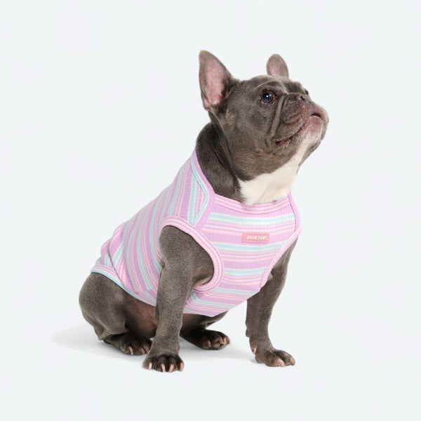 Purple Blue Stripe Shirt
