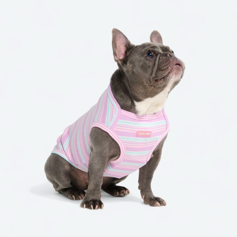 Gestreiftes Shirt - Lila Blau
