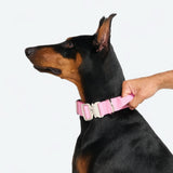 Komfort-Kontrollhalsband - Rosa
