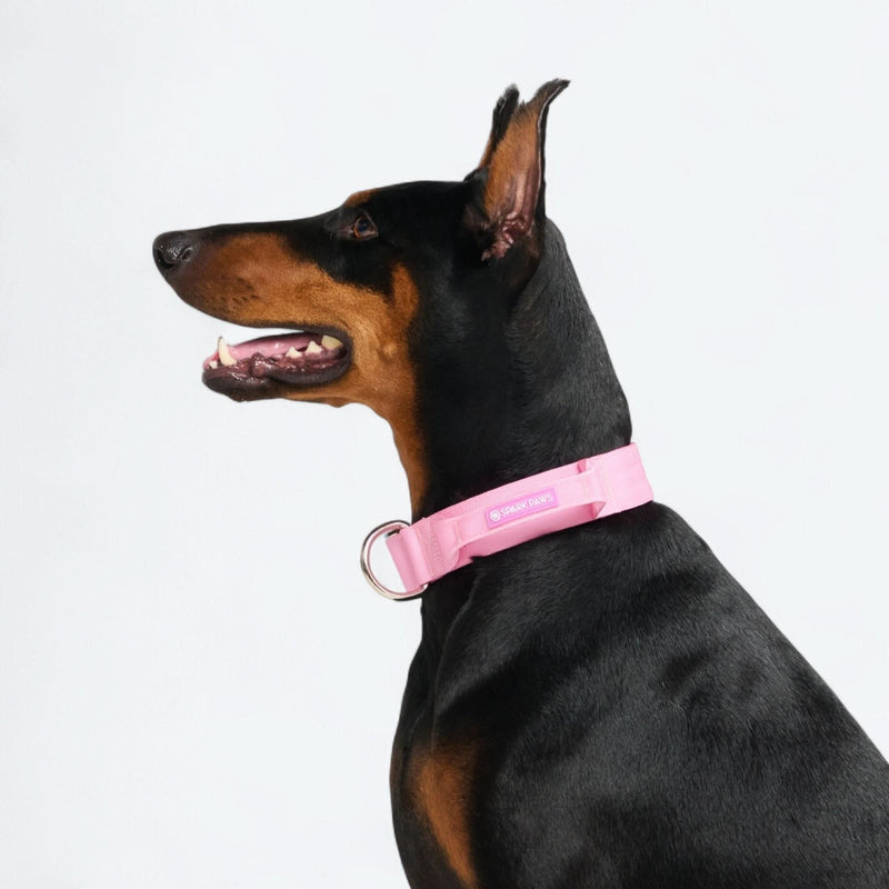 Komfort-Kontrollhalsband-Set - Rosa