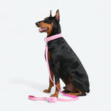 Komfort-Kontrollhalsband - Rosa