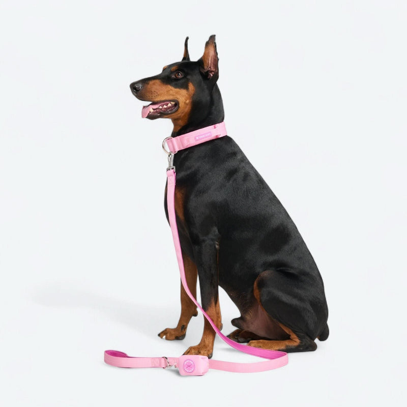 Komfort-Kontrollhalsband - Rosa