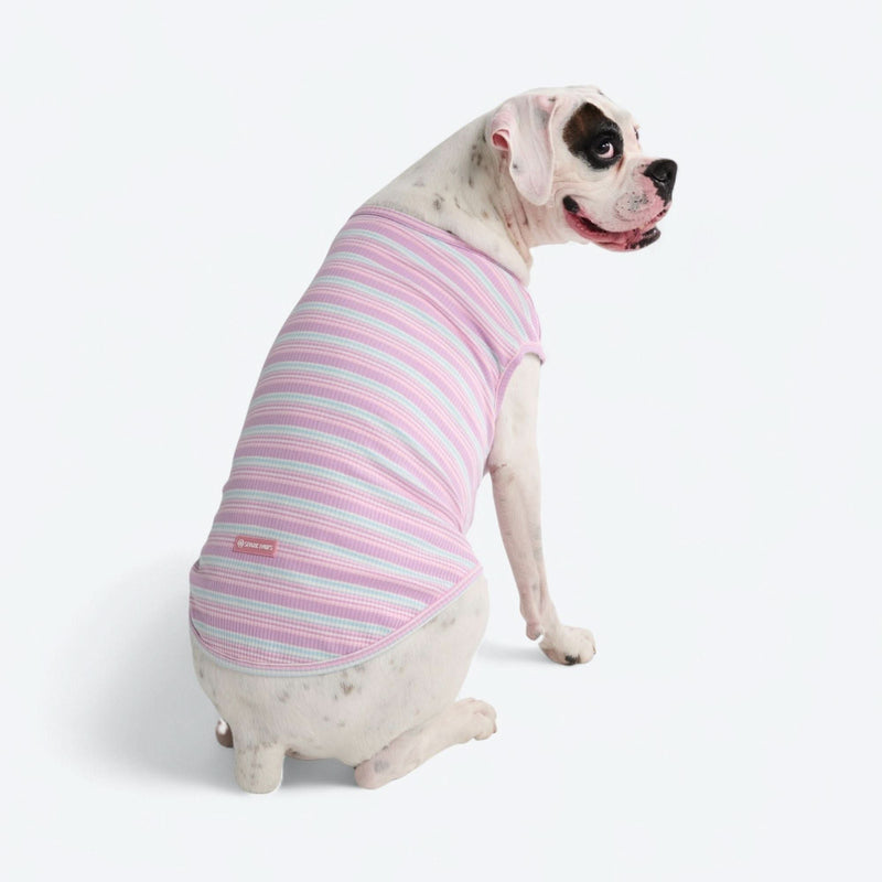 Gestreiftes Shirt - Lila Blau
