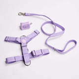Komfort-Kontrolle No-Pull Hundegeschirr set - Flieder