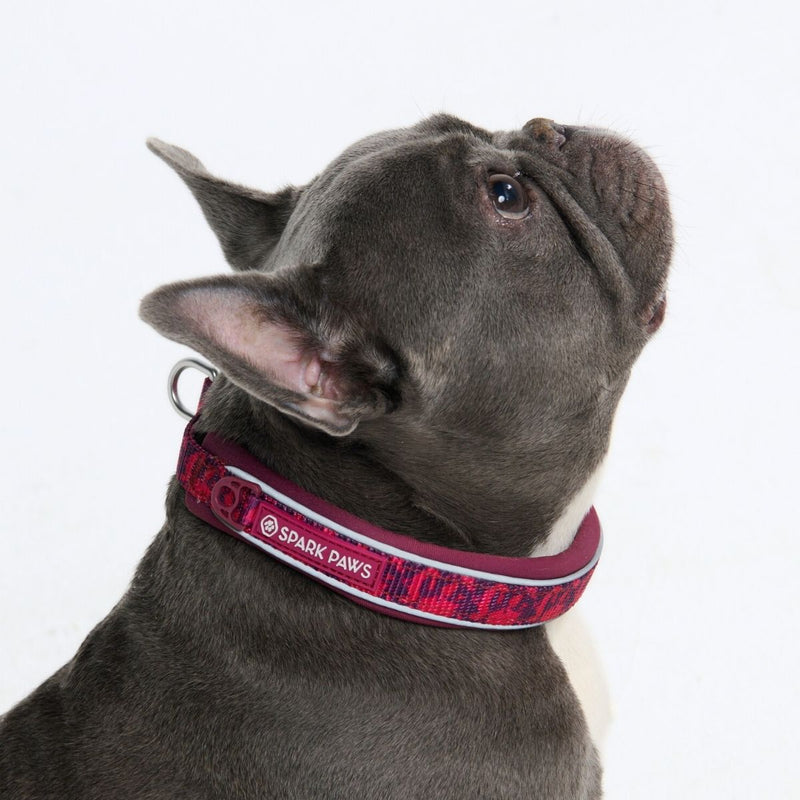 Fuchsia Camo Martingale Collar||size:A,B