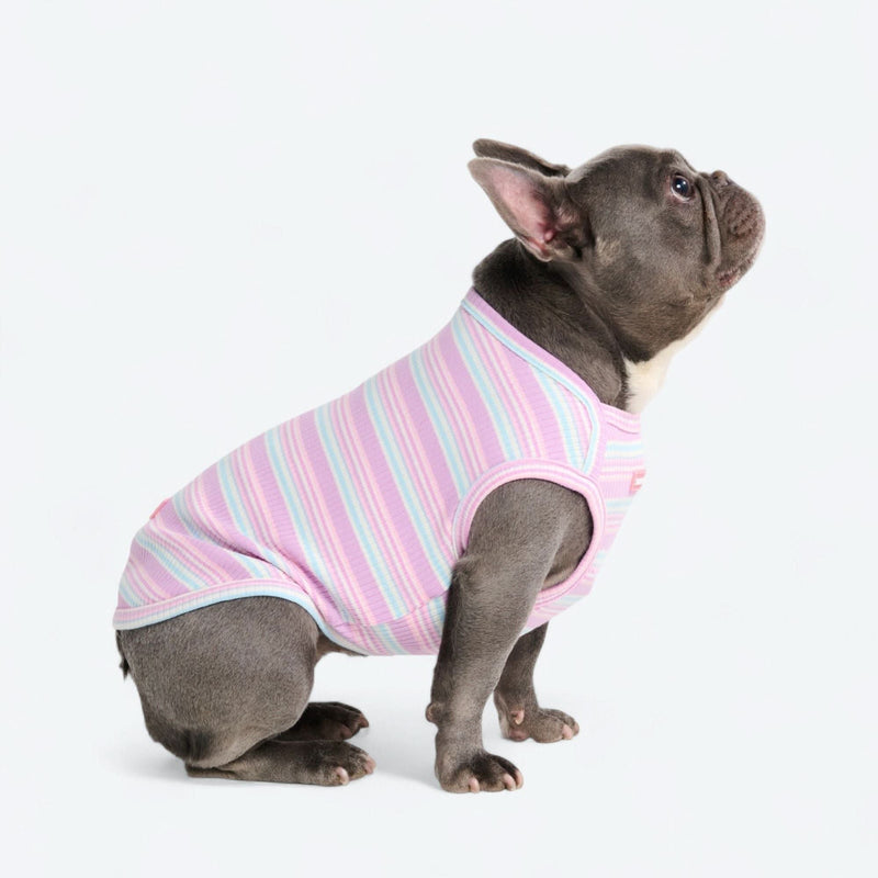 Gestreiftes Shirt - Lila Blau