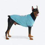 Blue Football Jersey